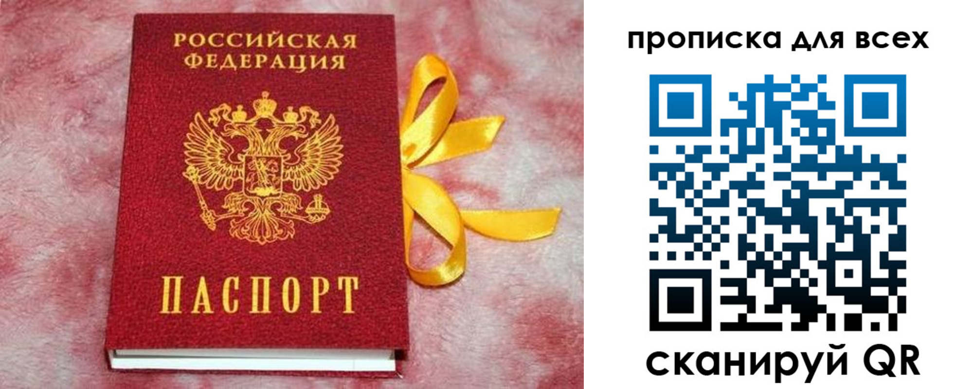 прописка для школы в Курской области
